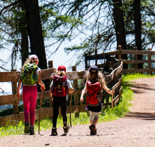 photo marche nordique dans la foret